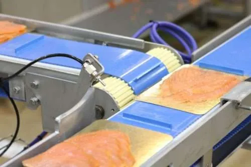 Food Processing Equipment